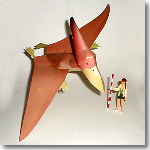 ������v�e��