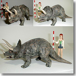 �c�{�̃g���P��