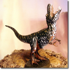 C.C.�U�E���X �e�B���m