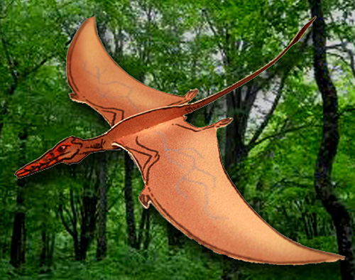 �����t�H�����N�X