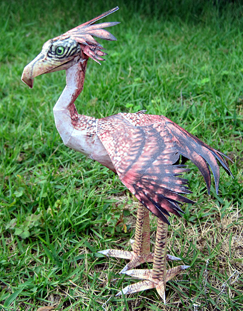 ���A�E�o�[�h