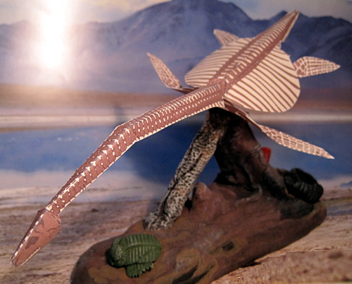 �N�r�i�K�����E