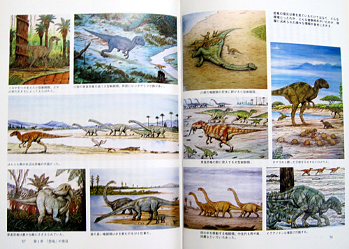 �V�E�����_