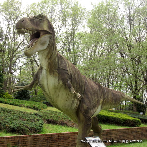 とちぎわんぱく公園のティラノサウルス（学研寄贈）