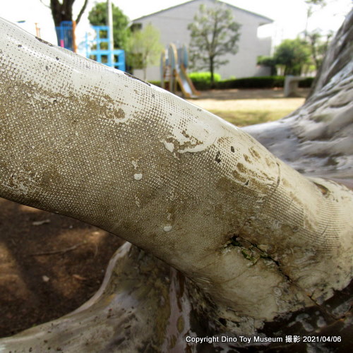 諏訪山公園のミニサイズのトリケラトプス