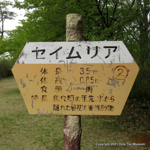 水戸市森林公園のセイムリア