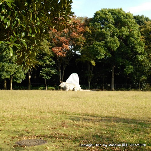 八千代台近隣公園の顔面被害のディメトロドン