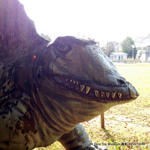八千代台近隣公園の顔面被害のディメトロドン
