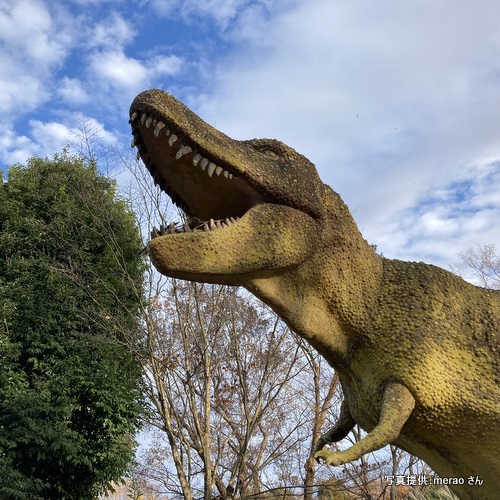 郷土の森博物館のティラノサウルス