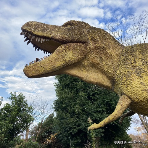 郷土の森博物館のティラノサウルス