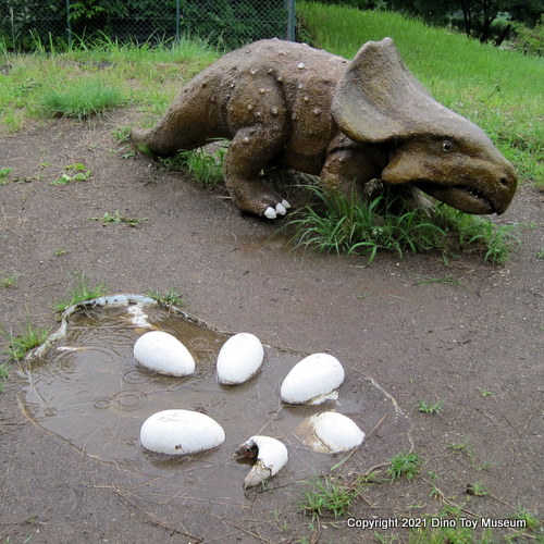 茶臼山恐竜公園のプロトケラトプスとタマゴ