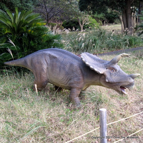伊豆アニマルキングダム　恐竜が棲む森のアロサウルス