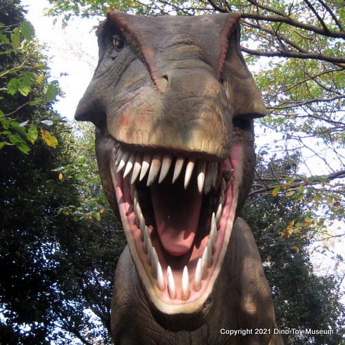 伊豆アニマルキングダム　恐竜が棲む森のティラノサウルス