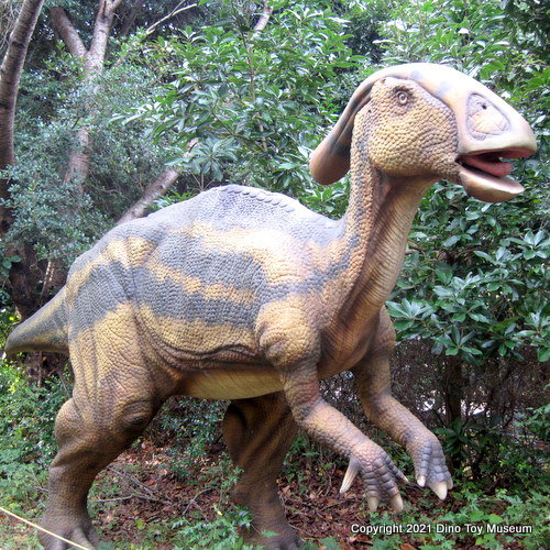 伊豆アニマルキングダム　恐竜が棲む森のパラサウロロフス