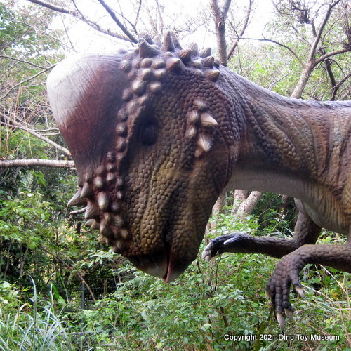 伊豆アニマルキングダム　恐竜が棲む森のパキケファロサウルス