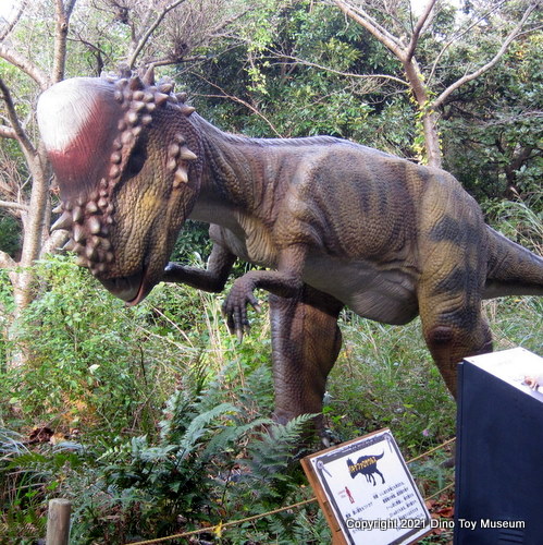 伊豆アニマルキングダム　恐竜が棲む森のパキケファロサウルス