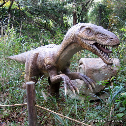 伊豆アニマルキングダム　恐竜が棲む森のベロキラプトル