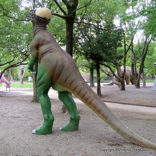 豊橋総合動植物公園　自然史博物館　のんほいパークのパキケファロサウルス