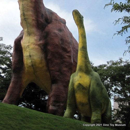 豊橋総合動植物公園　自然史博物館　のんほいパークのブラキオサウルスの子ども