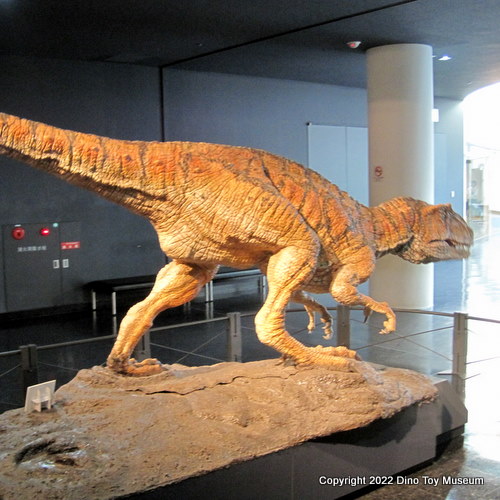 福井県立恐竜博物館の動刻恐竜フクイラプトル