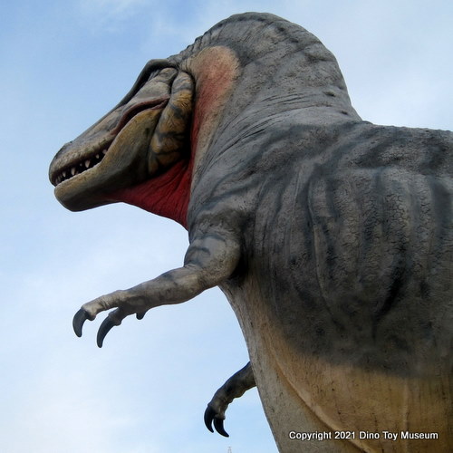 カブトガニ博物館のティラノサウルス