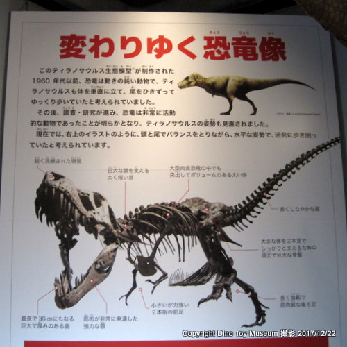 佐賀県立博物館のティラノサウルス生態復元像
