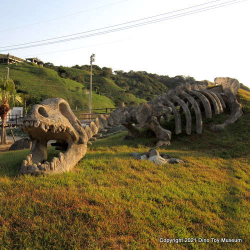 長崎のもざき恐竜パーク　長崎市恐竜博物館のスケルトンザウルス（亜熱帯植物園から移転）