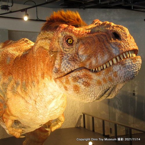 長崎のもざき恐竜パーク　長崎市恐竜博物館の長崎のティラノサウルス復元ロボット