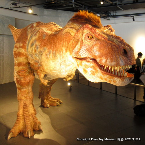長崎のもざき恐竜パーク　長崎市恐竜博物館の長崎のティラノサウルス復元ロボット