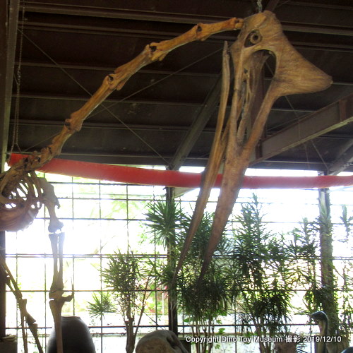 カフェくるくま・くるくまの森展望公園のケツァルコアトルスの全身骨格