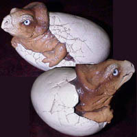 �O�b�Y���@���̂P