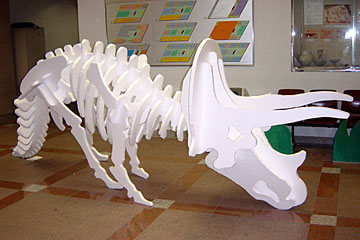 �O�b�Y���