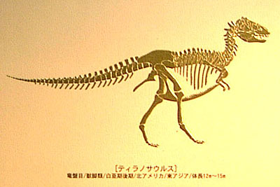 �O�b�Y���