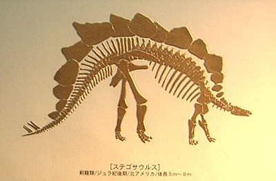 �O�b�Y���