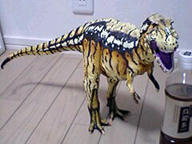 �O�b�Y���