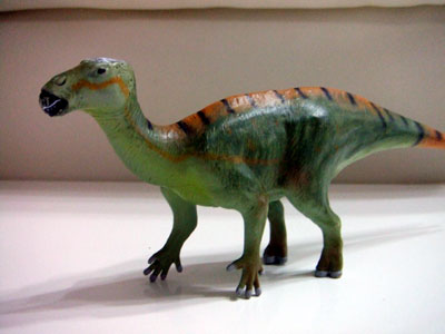 �O�b�Y���