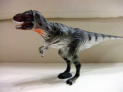 �O�b�Y���