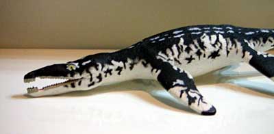 �O�b�Y���