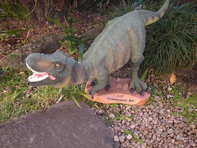 �O�b�Y���