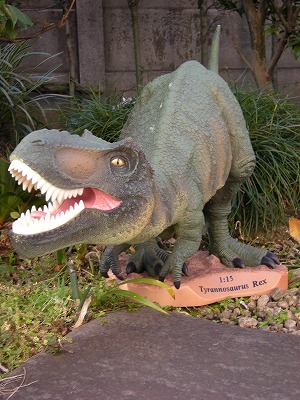 �O�b�Y���