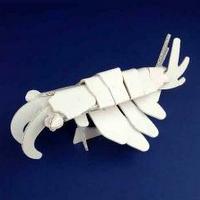 �O�b�Y���