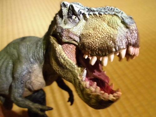 �p�|�Ђ̃e�B���m�T�E���X