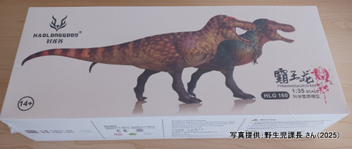 �O�b�Y���