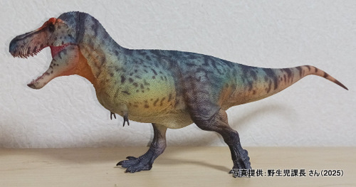 �O�b�Y���