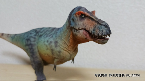 �O�b�Y���