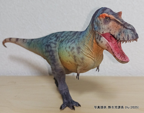 �O�b�Y���