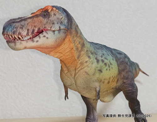 �O�b�Y���