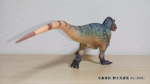 �O�b�Y���