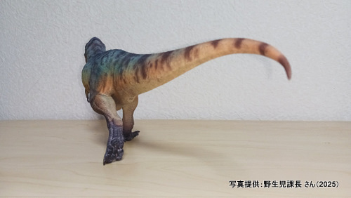 �O�b�Y���