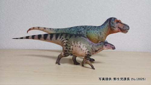 �O�b�Y���